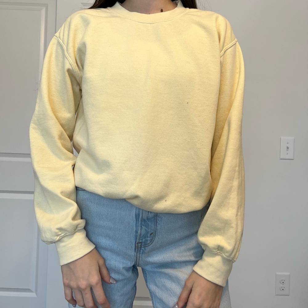 Brandy Melville Sweatshirt